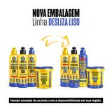 Novo layout Desliza Lizo